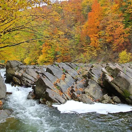 Club Visson Kostryna